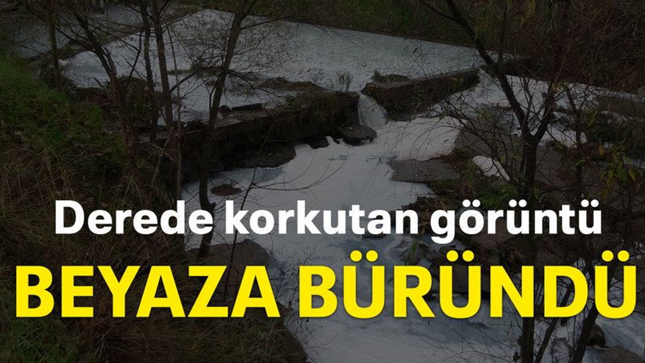 Derede korkutan görüntü, beyaza büründü